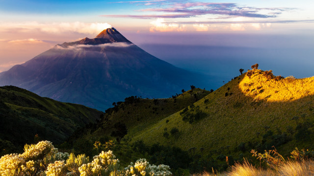 Mountain peak clouds flower landscape free wallpaper - medium preview image
