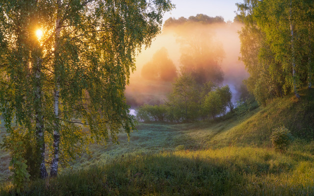 Foggy forest river sunbeam impressionist free wallpaper - medium preview image
