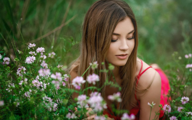 Red dress woman flower field free wallpaper - medium preview image