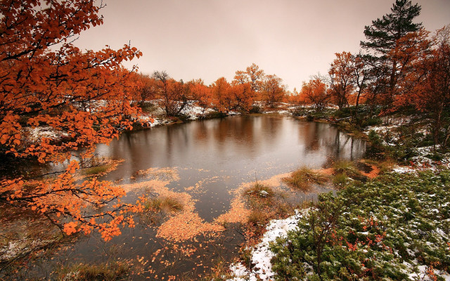 Lake trees orange leaves snow free wallpaper - medium preview image