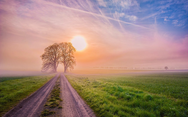 Dirt road tree sunset colorful free wallpaper - medium preview image