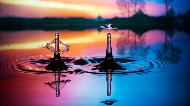 Water drop sunset reflection tree free wallpaper - medium preview image