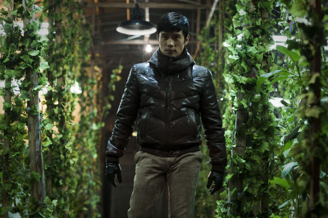 Man black jacket hat green free wallpaper - medium preview image