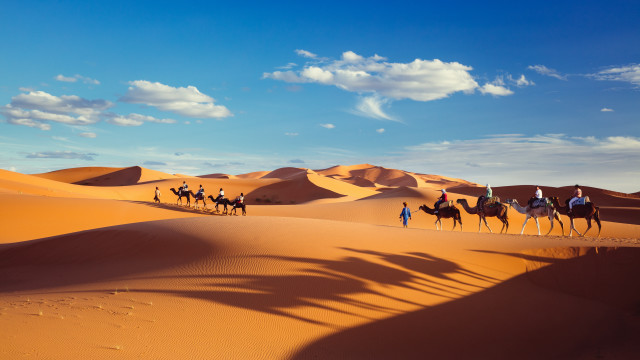 Desert camels group sand dunes free wallpaper - medium preview image