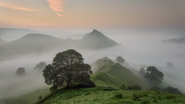 Foggy mountain tree hills forest free wallpaper - medium preview image