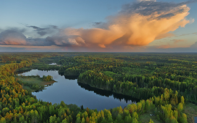 Large cloud lake trees grass free wallpaper - medium preview image