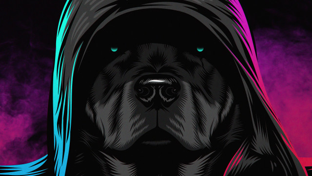 Dog hooded jacket purple blue free wallpaper - medium preview image