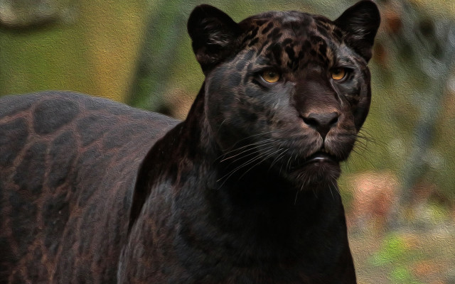 Black leopard yellow eyes sumatraism free wallpaper - medium preview image