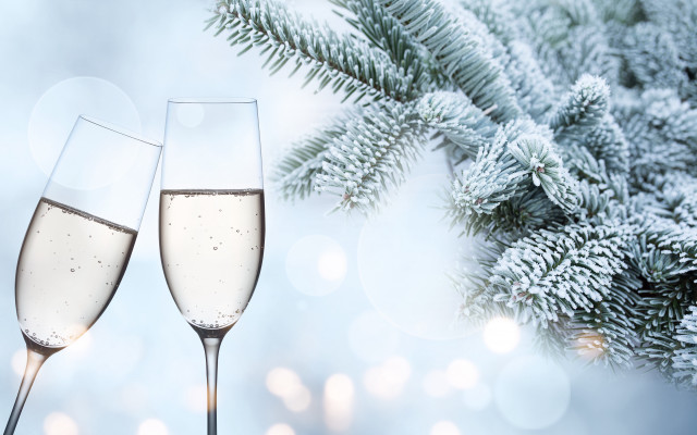 Champagne flutes christmas branch snow free wallpaper - medium preview image