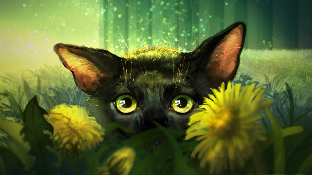 Green eyed cat in grass free wallpaper - medium preview image
