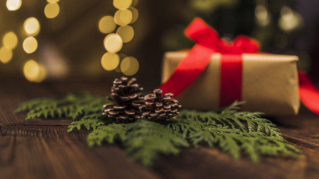 Present box red ribbon pine free wallpaper - medium preview image