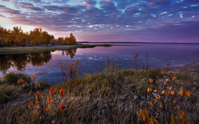Lake trees purple sky autumn free wallpaper - medium preview image