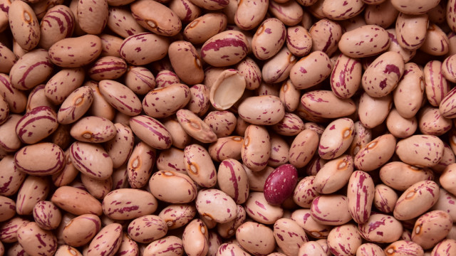 Beans red spots brown top free wallpaper - medium preview image
