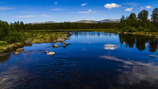 River rocks trees mountain beach free wallpaper - medium preview image