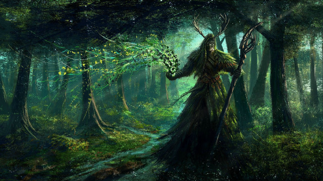 Person forest staff tree path free wallpaper - medium preview image