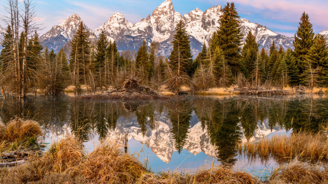 Mountain reflection pine trees autumn free wallpaper - medium preview image