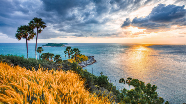 Sunset ocean palm trees cliff free wallpaper - medium preview image