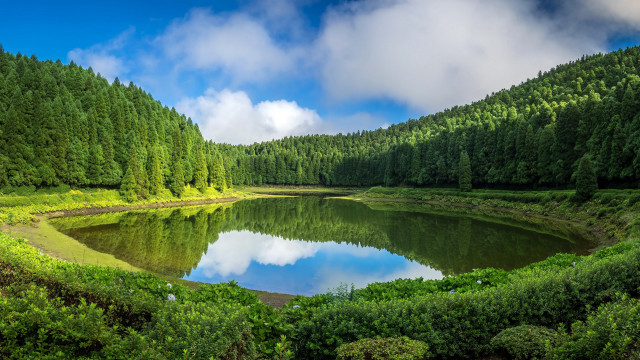 Lake forest blue sky clouds free wallpaper - medium preview image