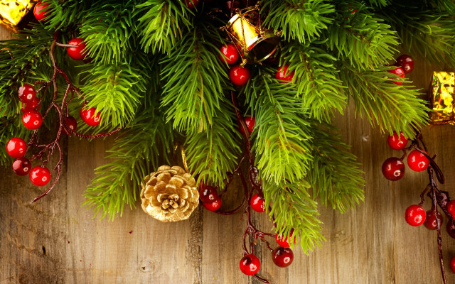 Pine cone berries christmas tree free wallpaper - medium preview image