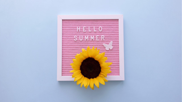 Sunflower pinkframe hellosummer butterfly vibrant free wallpaper for desktop - medium preview image