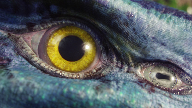 Dragon eye yellow black reflection free wallpaper - medium preview image