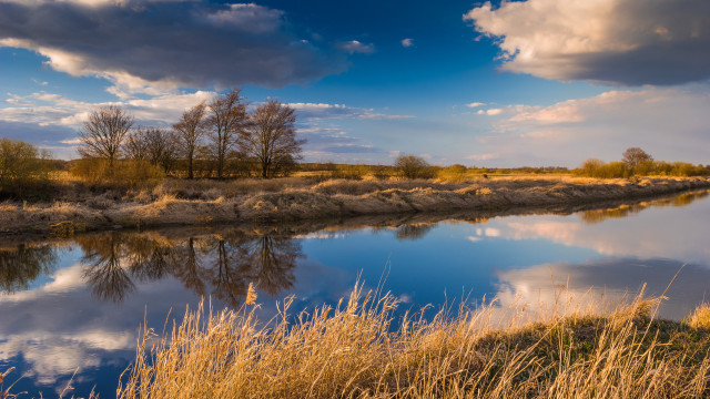 River trees clouds sunset ocean free wallpaper - medium preview image