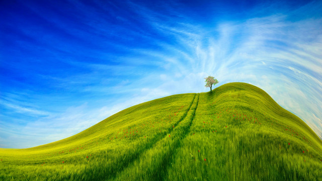 Tree hill green field blue #2 free wallpaper - medium preview image