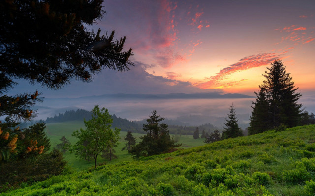 Sunset mountains lake forest trees free wallpaper - medium preview image