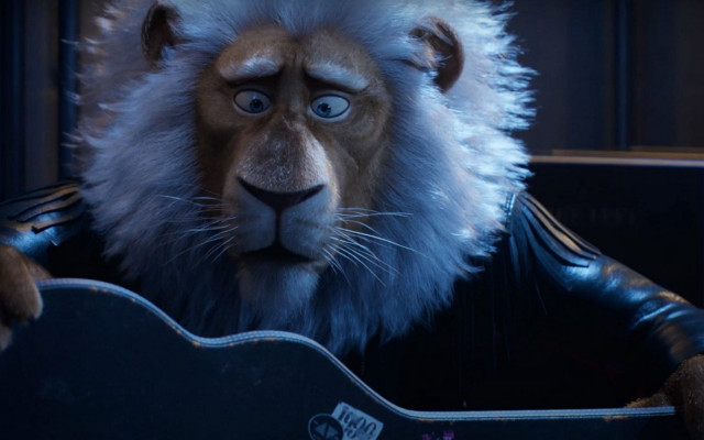 Lion guitar leather jacket furry free wallpaper - medium preview image