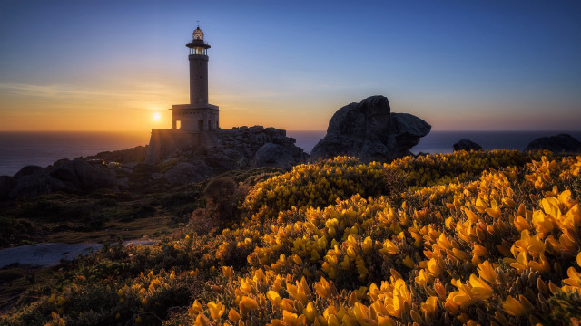 Lighthouse rocky cliff sunset flowers free wallpaper - medium preview image