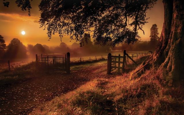 Fence tree foggy sunset autumn free wallpaper - medium preview image