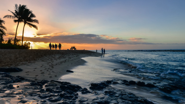 Beach sunset palm trees ocean #2 free wallpaper - medium preview image