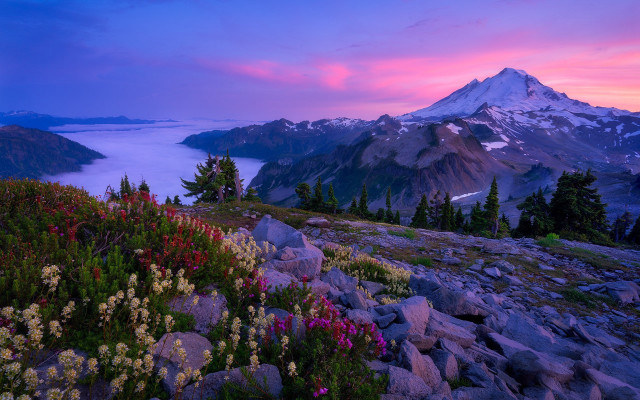 Mountain lake flowers pink sky free wallpaper for desktop - medium preview image