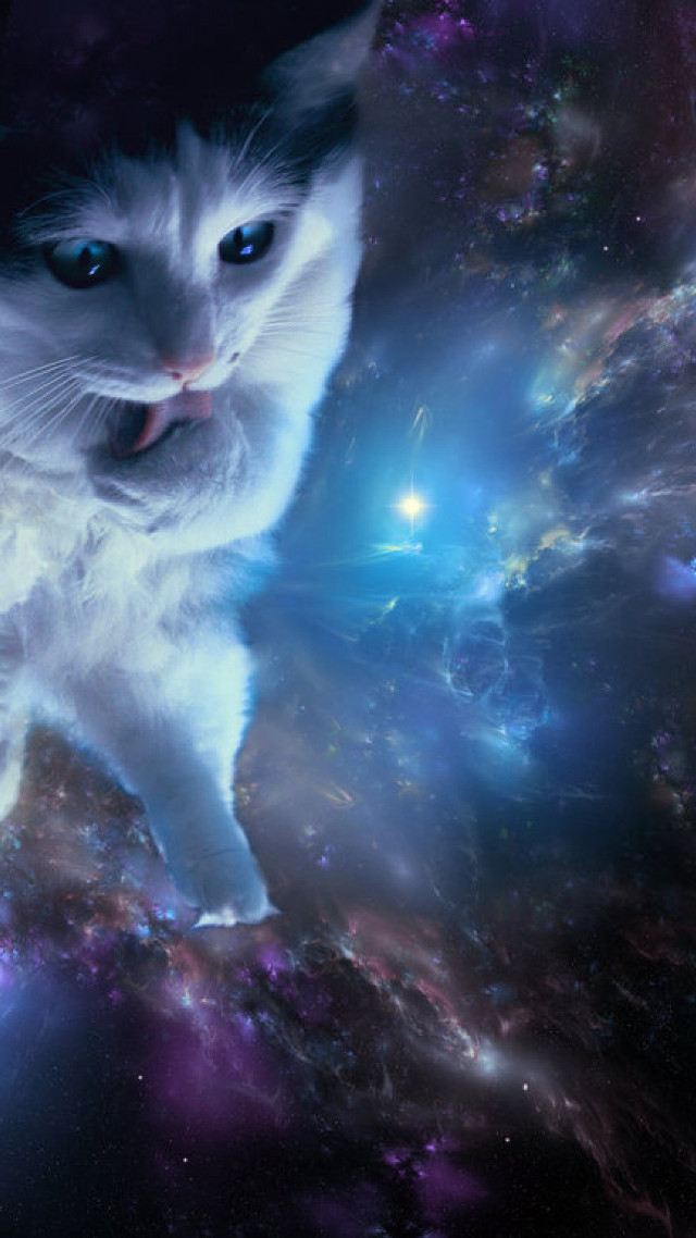 Cat space background stars bright free wallpaper - medium preview image