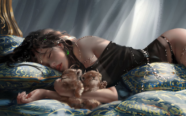Woman black dress bed cat free wallpaper - medium preview image