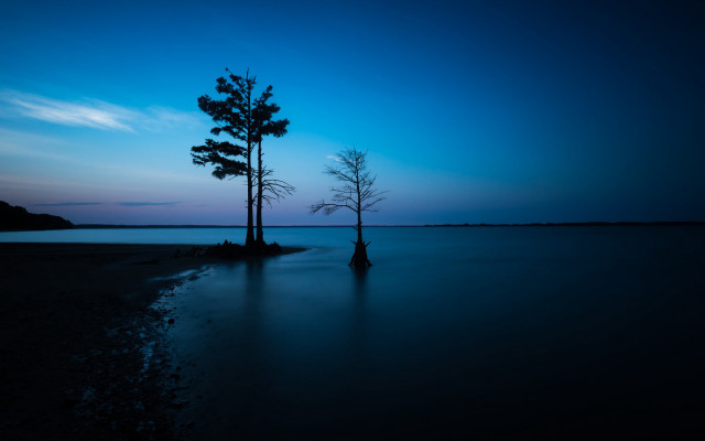 Lone tree beach dusk blue free wallpaper - medium preview image