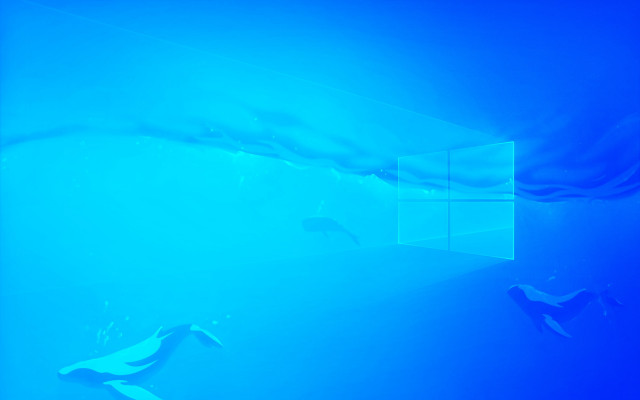 Blue room window curtain fish free wallpaper - medium preview image