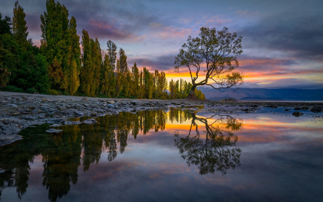 Lake reflection sunset autumn tree free wallpaper - medium preview image