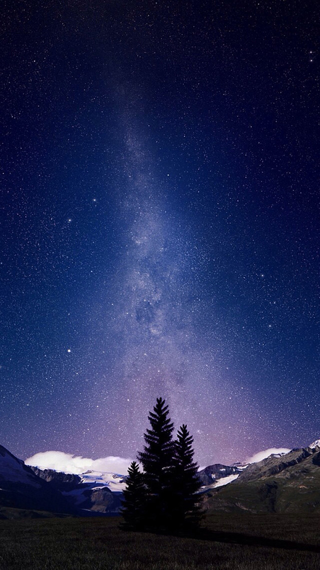 Tree field stars sky clouds free wallpaper - medium preview image
