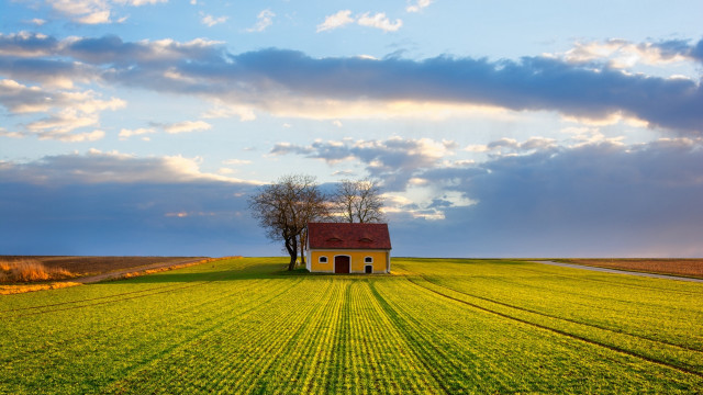 House field tree clouds dusk free wallpaper - medium preview image