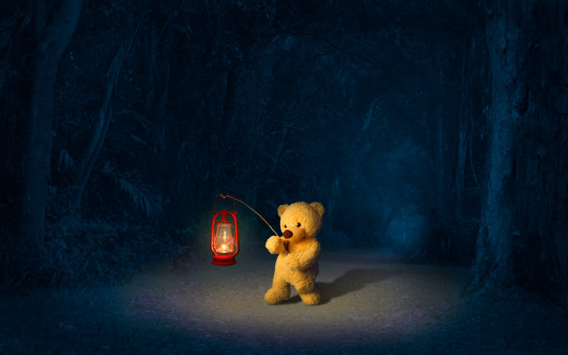 Teddy bear lantern dark forest free wallpaper - medium preview image