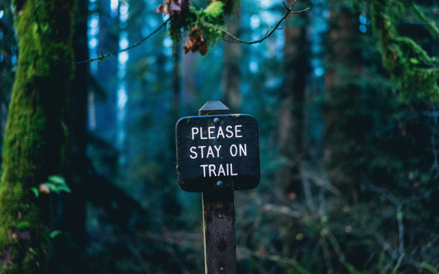 Trail sign woods nature dappled free wallpaper - medium preview image