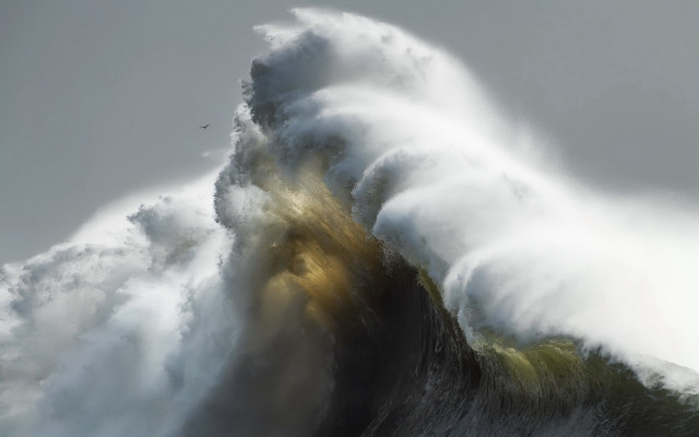 Large wave crashing boat bird free wallpaper - medium preview image