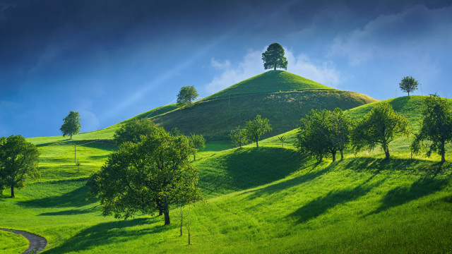 Green hill trees winding road free wallpaper - medium preview image
