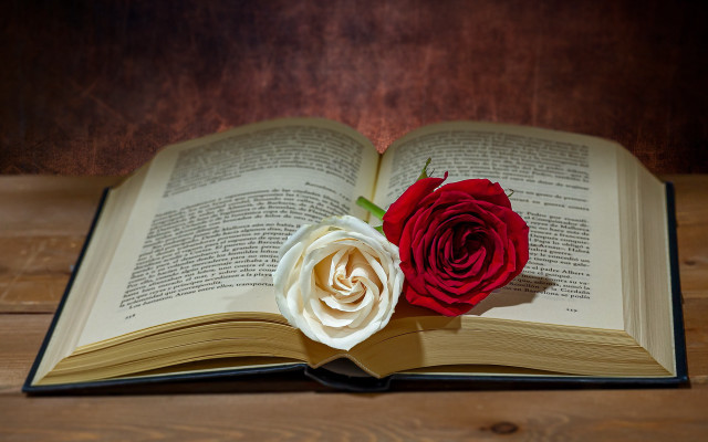 Book rose badge on table free wallpaper - medium preview image