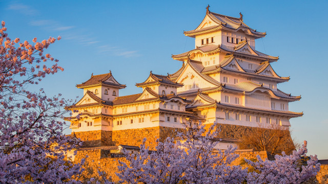 Tower purple flowers autumn japan free wallpaper - medium preview image