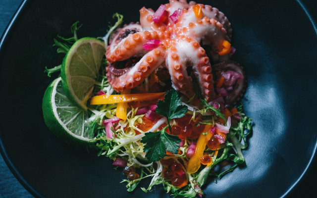 Octopus lime salad planet stilllife free wallpaper - medium preview image