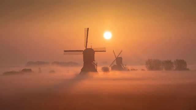 Windmill fog sun trees mist free wallpaper - medium preview image