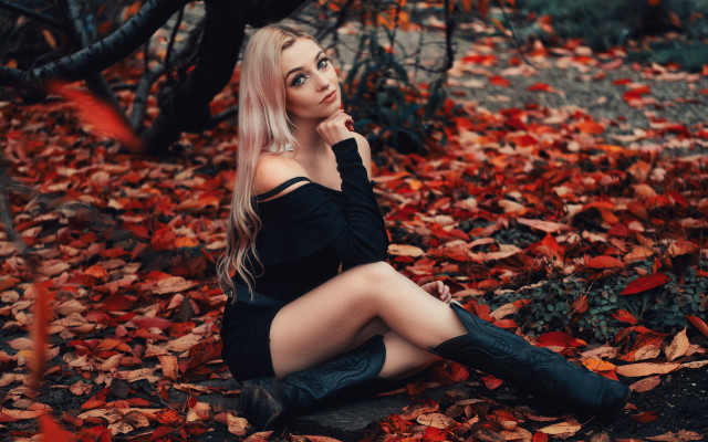 Woman forest autumn blonde leaves free wallpaper - medium preview image