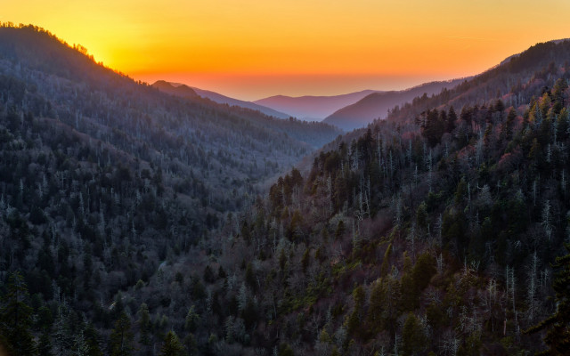 Sunset mountain range trees forest free wallpaper - medium preview image